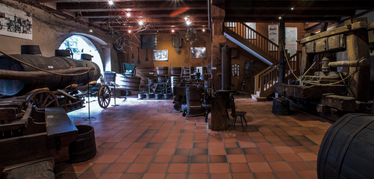 Salle des pièces de la cave et des vendanges