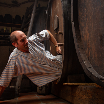 Un vigneron sort du tonneau qu’il a détartré (il fallait être très mince)